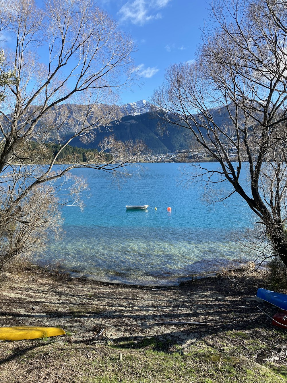 blue and red chair near body of water during daytime