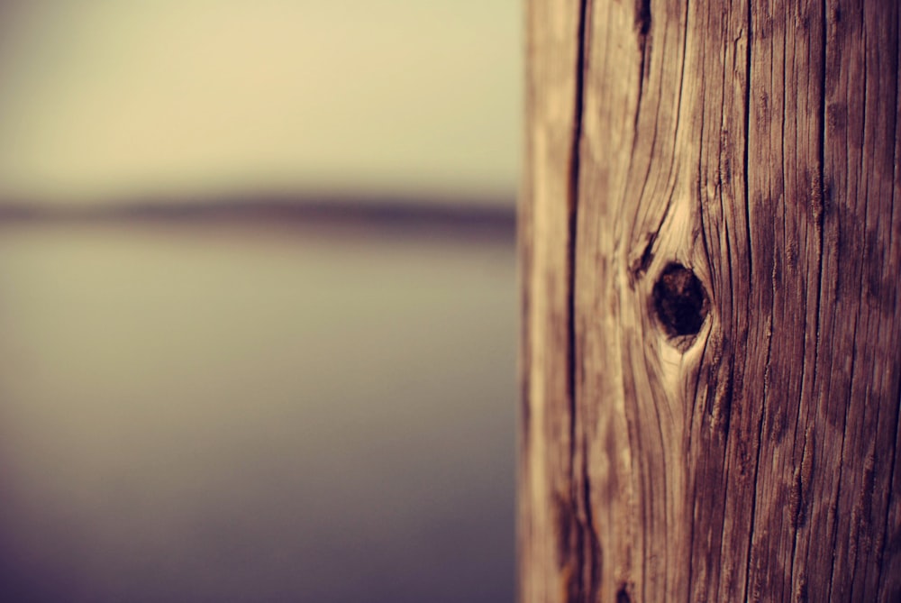 brown wooden post in grayscale photography