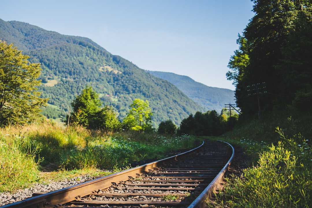 train rail near green trees and mountain during daytime