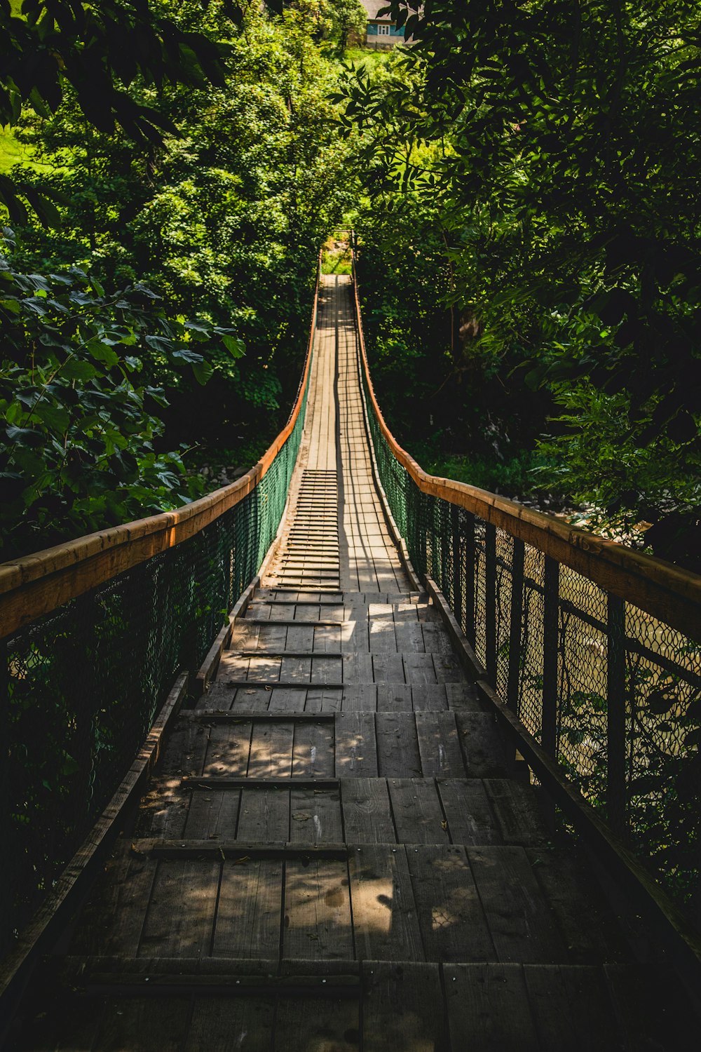 ponte de madeira marrom no meio de árvores verdes