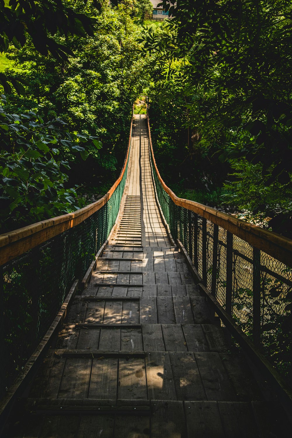 Puente de madera marrón en medio de árboles verdes