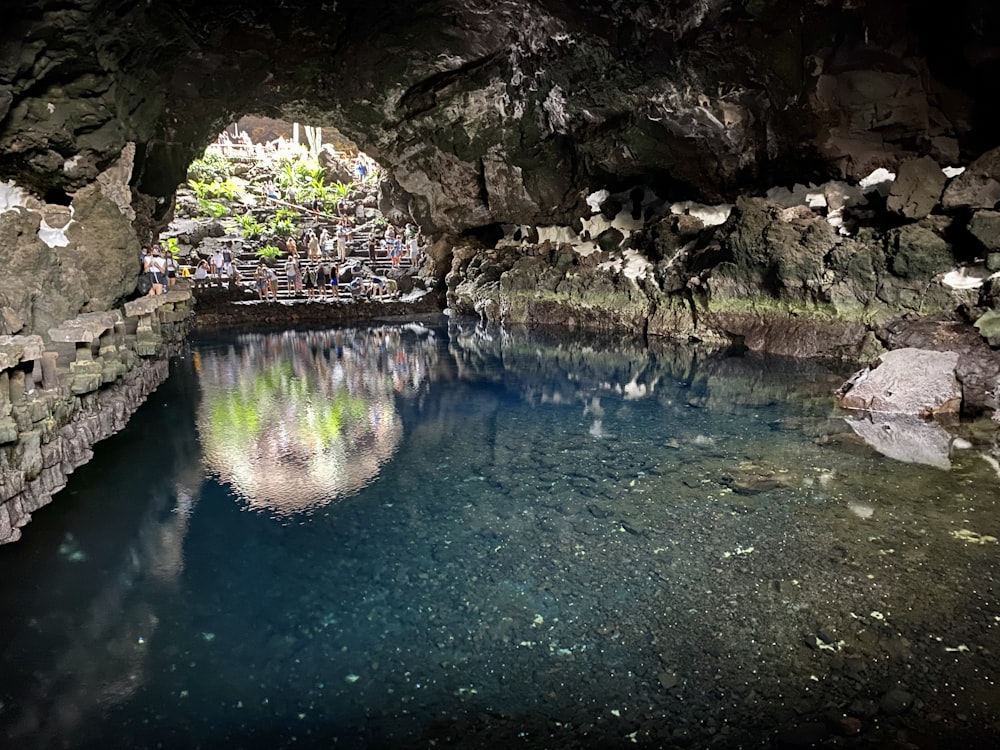 body of water between rocks and trees during daytime