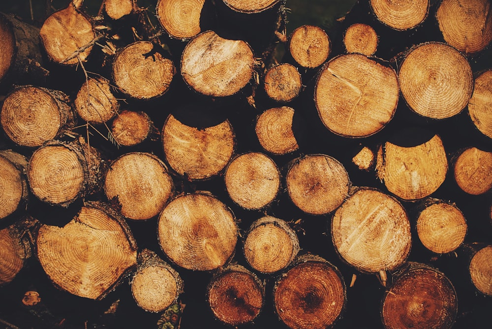 brown and black wood logs