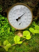 A brass analog thermometer and hygrometer stand among lush green foliage. The instrument displays both temperature and humidity with a classic dial design. Bright green leaves surround the device, adding a natural and earthy backdrop.