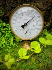 A brass analog thermometer and hygrometer stand among lush green foliage. The instrument displays both temperature and humidity with a classic dial design. Bright green leaves surround the device, adding a natural and earthy backdrop.