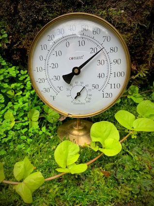 A brass analog thermometer and hygrometer stand among lush green foliage. The instrument displays both temperature and humidity with a classic dial design. Bright green leaves surround the device, adding a natural and earthy backdrop.