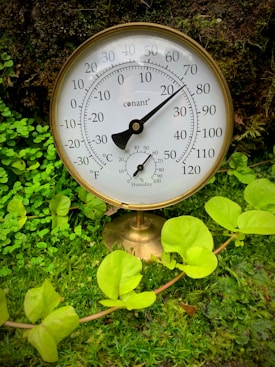 A brass analog thermometer and hygrometer stand among lush green foliage. The instrument displays both temperature and humidity with a classic dial design. Bright green leaves surround the device, adding a natural and earthy backdrop.