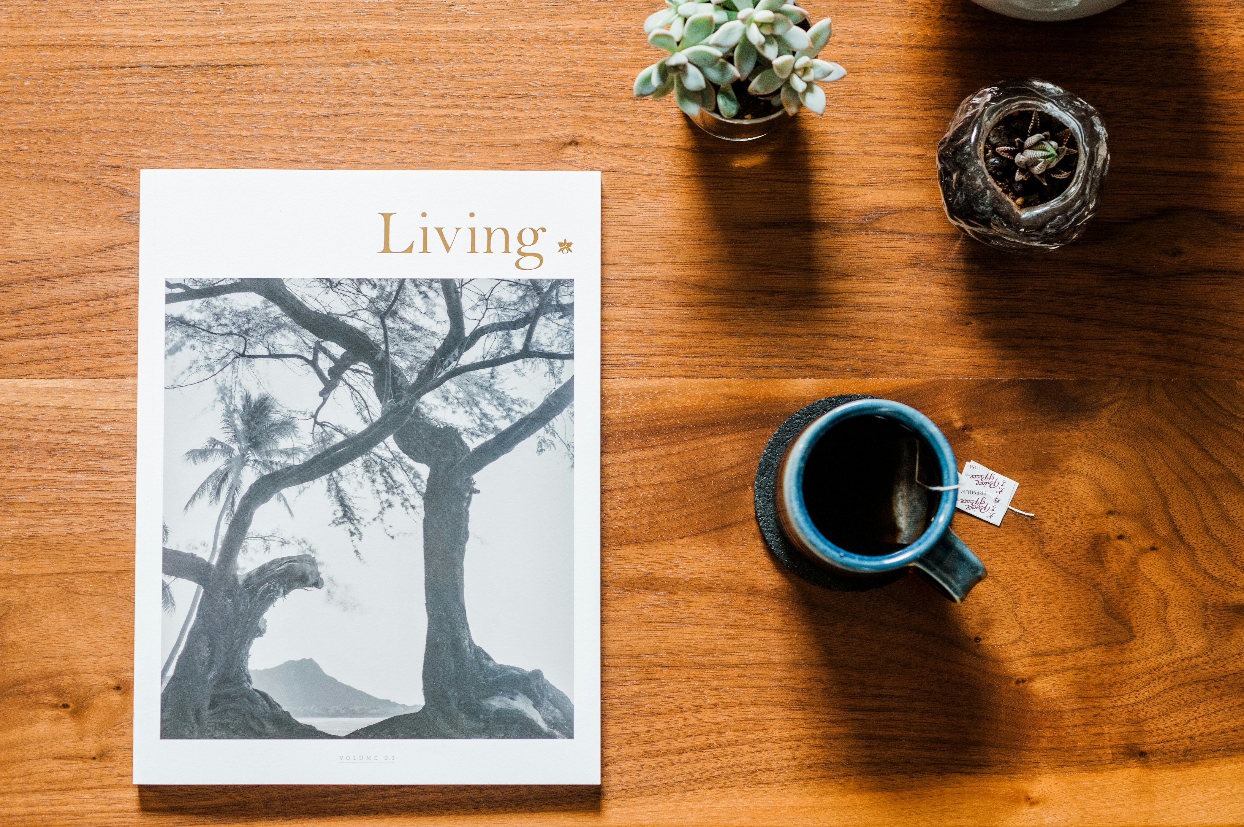 Expat Guide to Living in Bridgeview (2026)