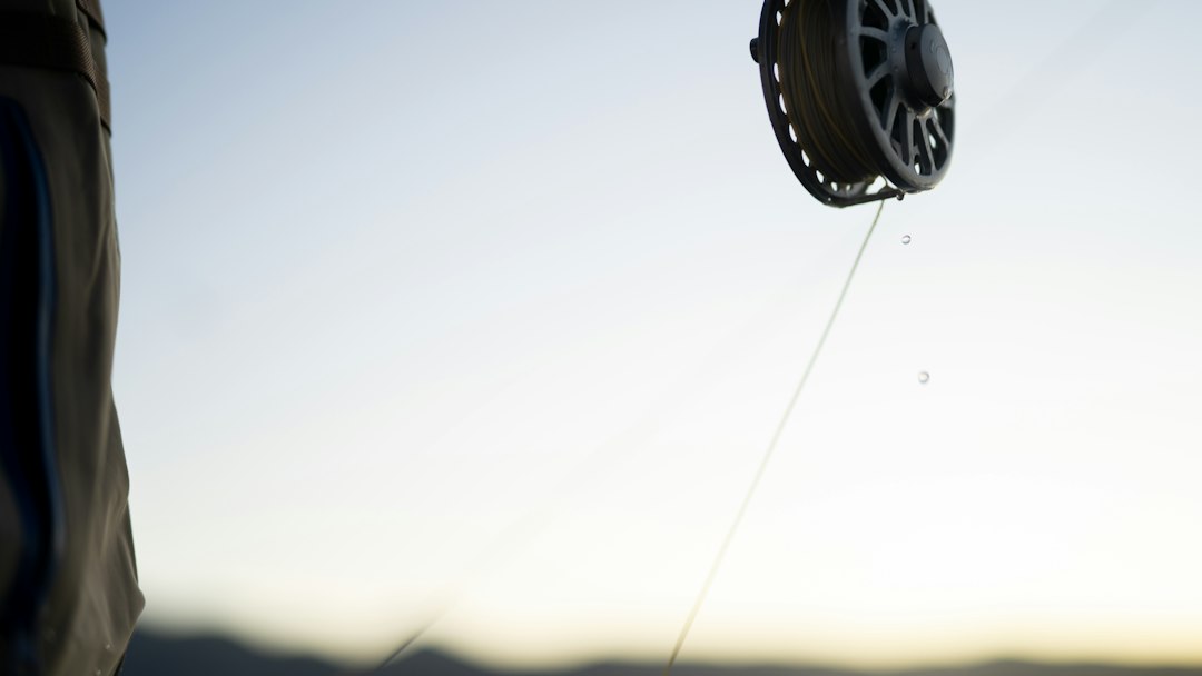 fishing line spool closeup