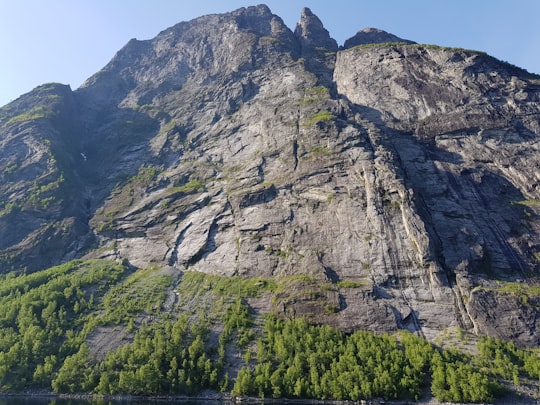 green trees on rocky mountain during daytime in Geiranger Norway