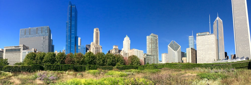 green grass field near city buildings during daytime