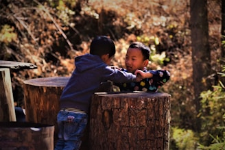 Two children are engaged in playful interaction while standing around large tree stumps in a forest setting. The background is filled with autumn foliage, giving a warm and natural atmosphere.