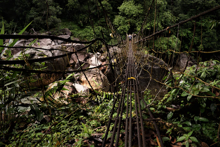 Bamboo Forest Walk at Village Edge