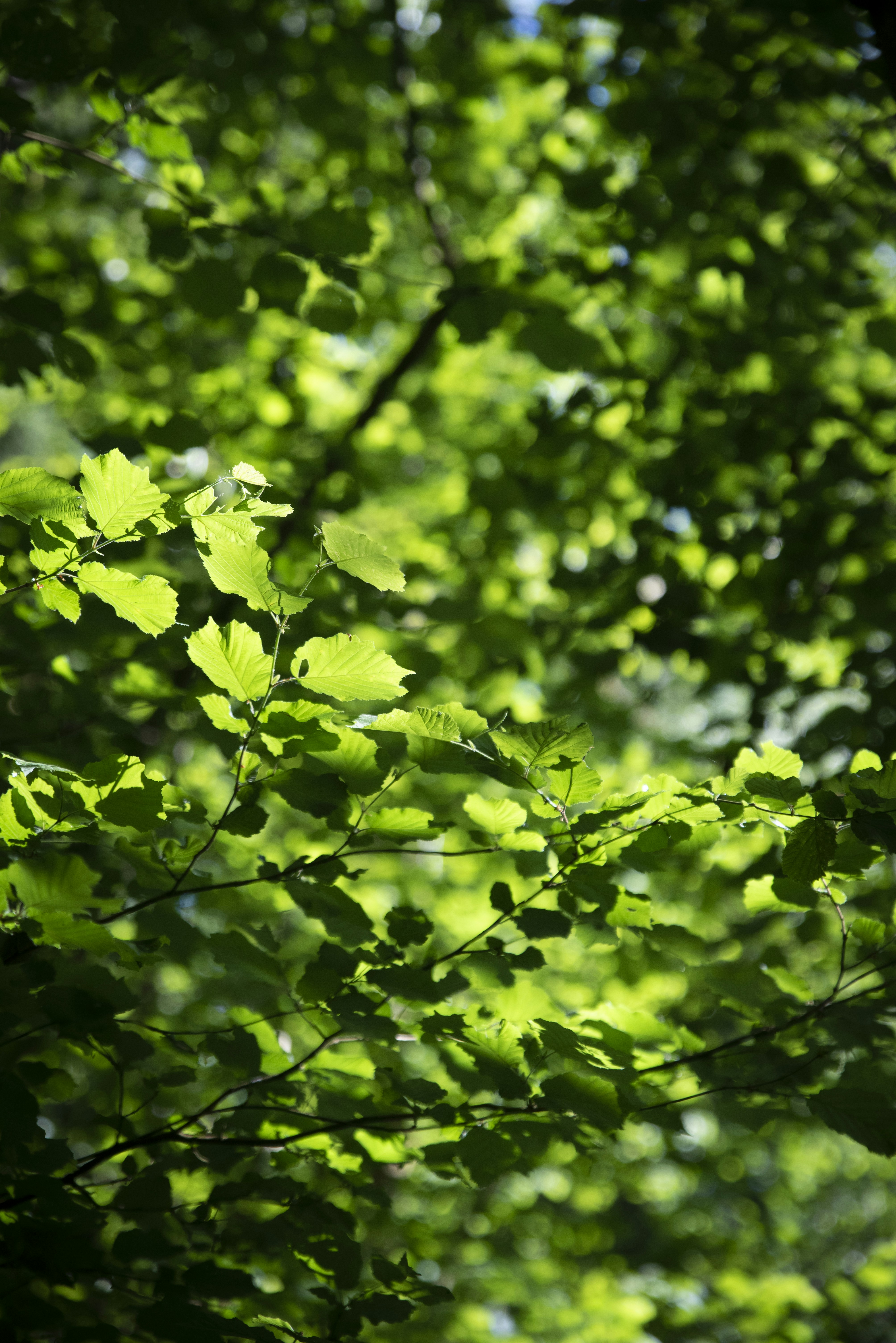 Photo by nick_g_pics