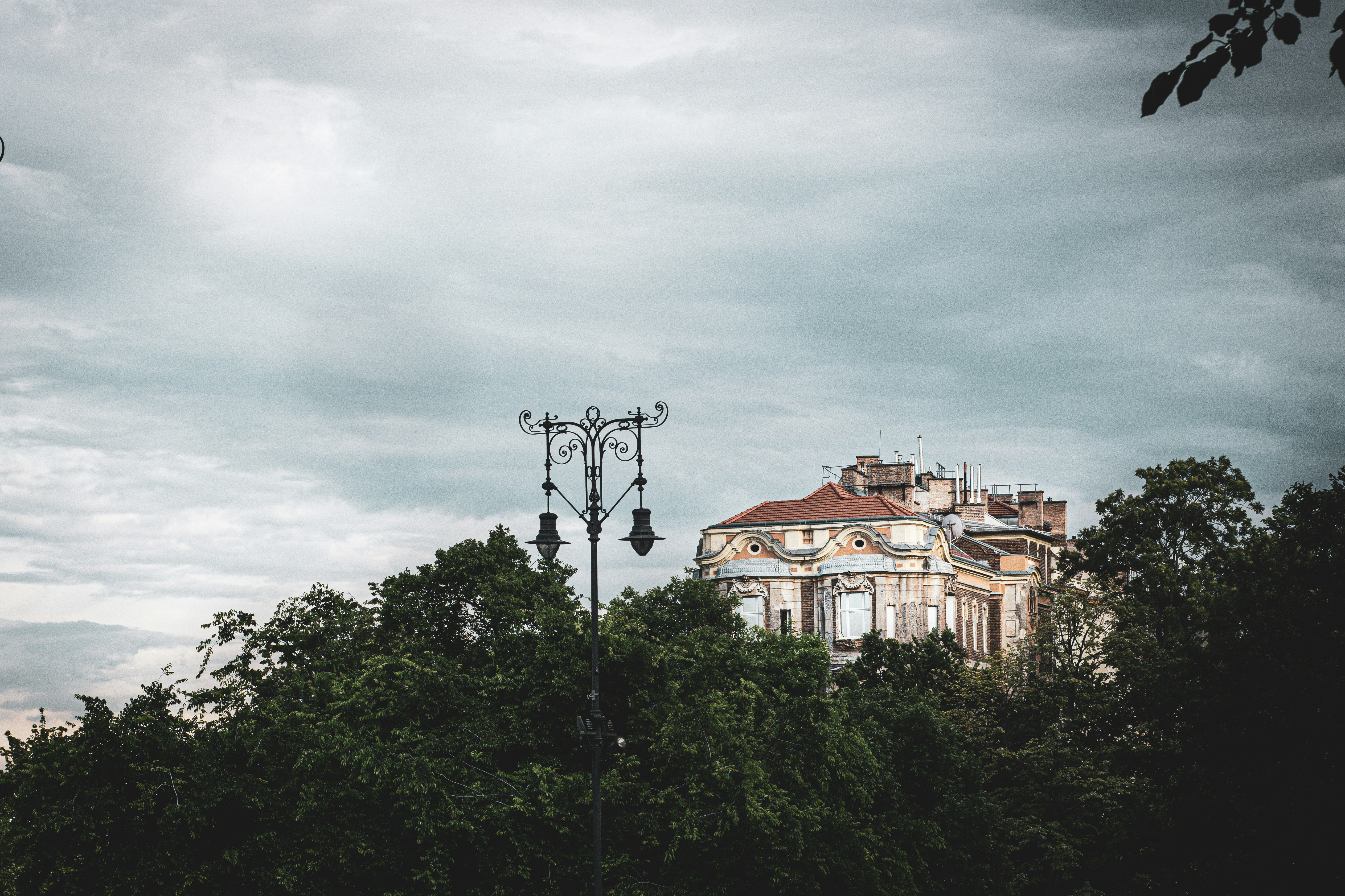 Photo by hungarycameraclub