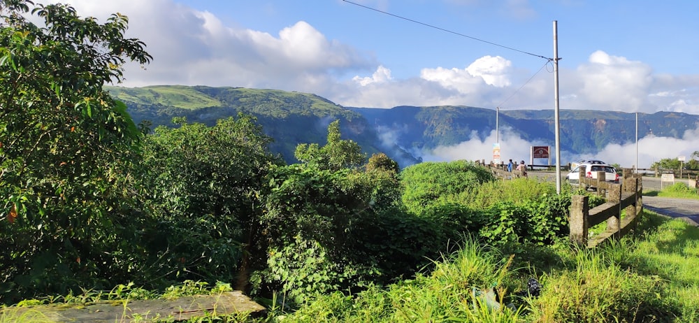 green trees on mountain during daytime