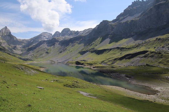 green grass field and mountains during daytime in Muotathal Switzerland