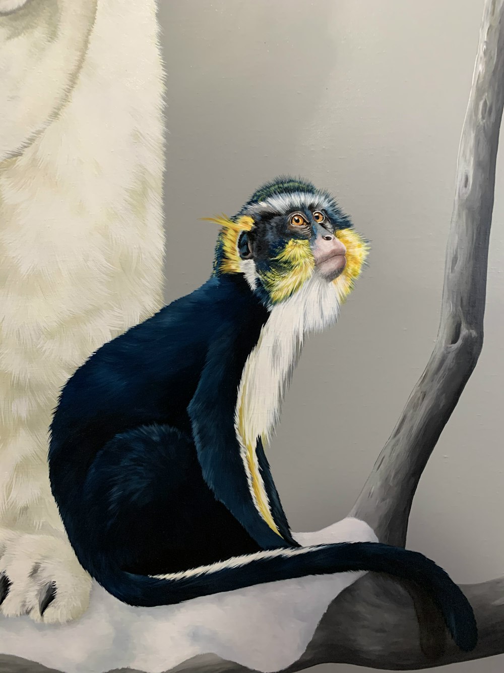 white black and yellow feathered bird on brown tree branch