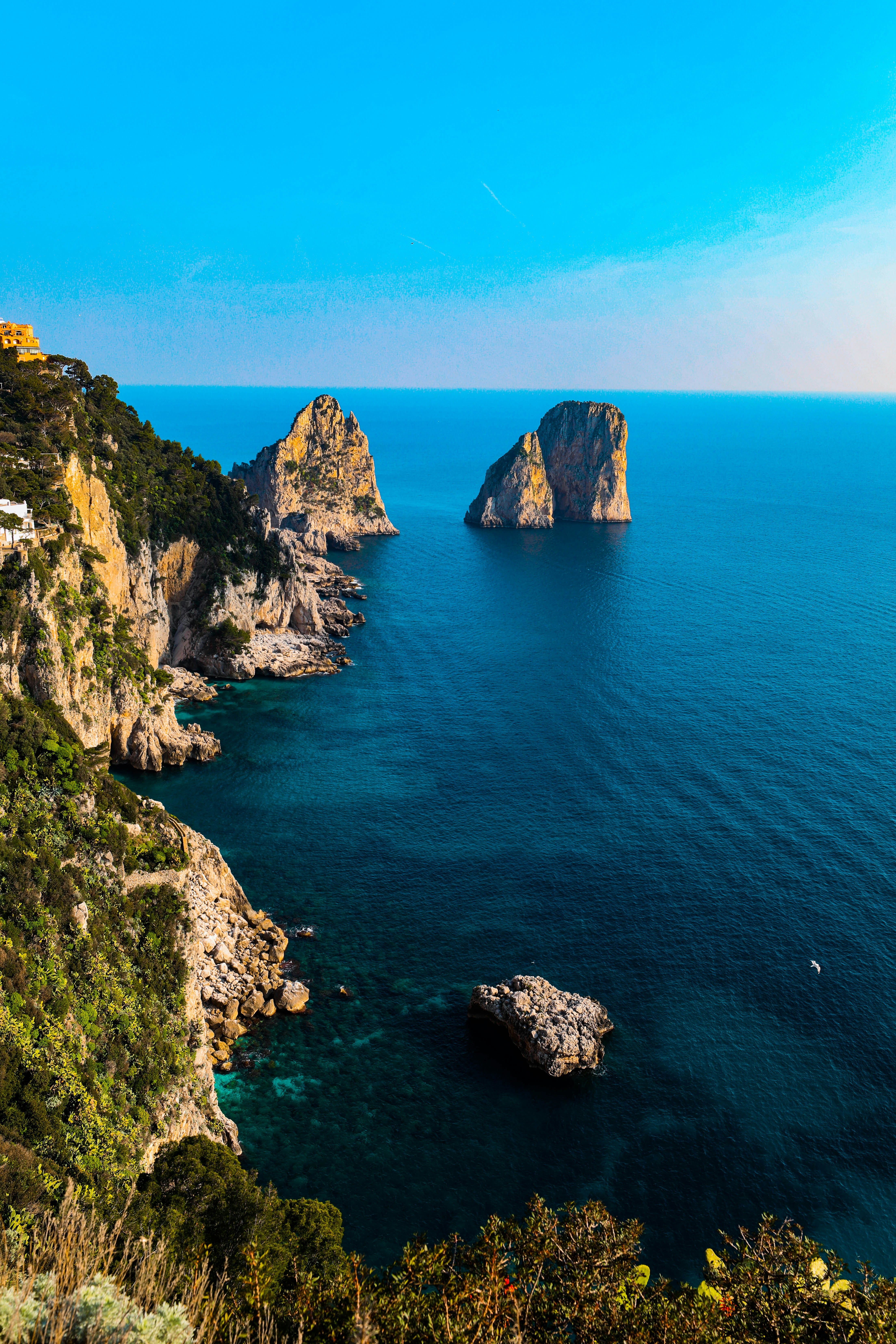 Photo by claritycontrol