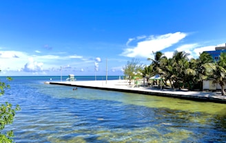 white and blue boat on blue sea under blue sky during daytime