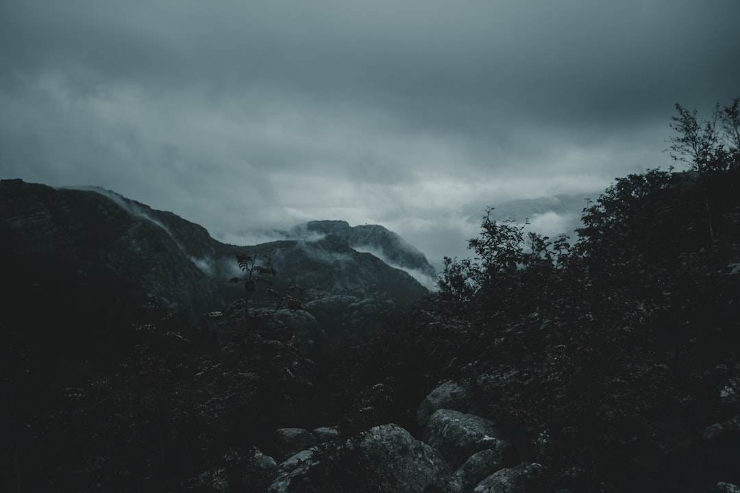 green trees near mountain under cloudy sky during daytime