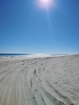 A freshly cleaned driveway gleaming under the Florida sun with clear tire marks.
