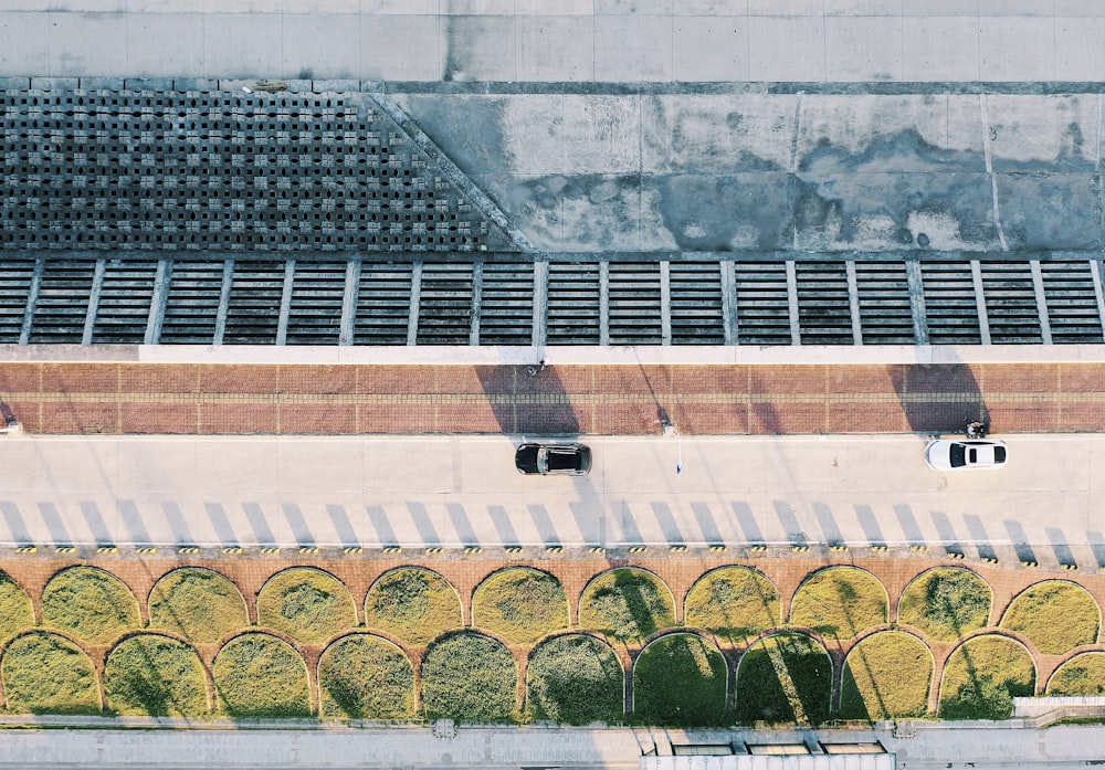 aerial view of green trees and white building