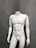 A headless white mannequin torso stands upright against a textured gray wall, displaying a muscular physique.