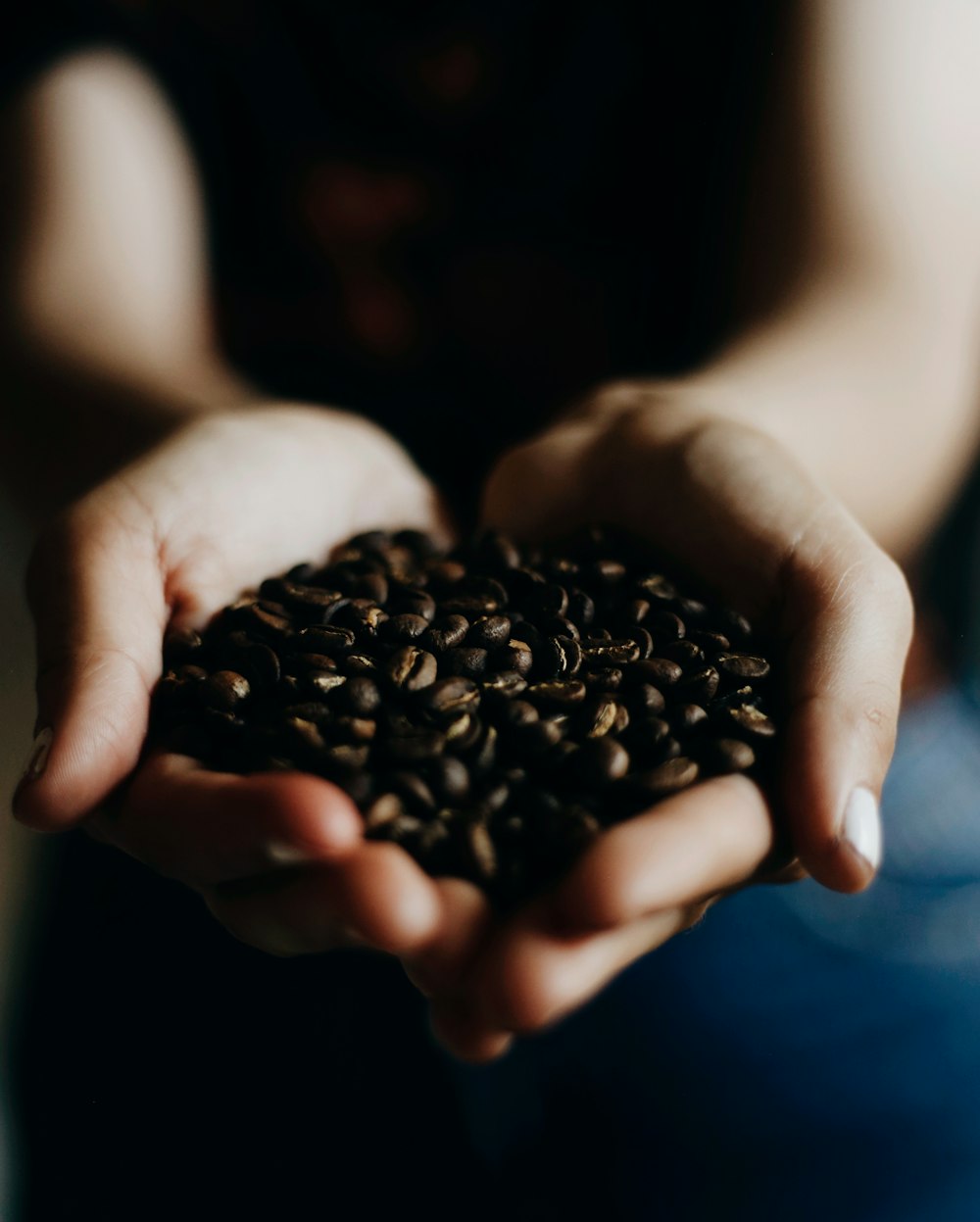 a person holding a handful of coffee beans