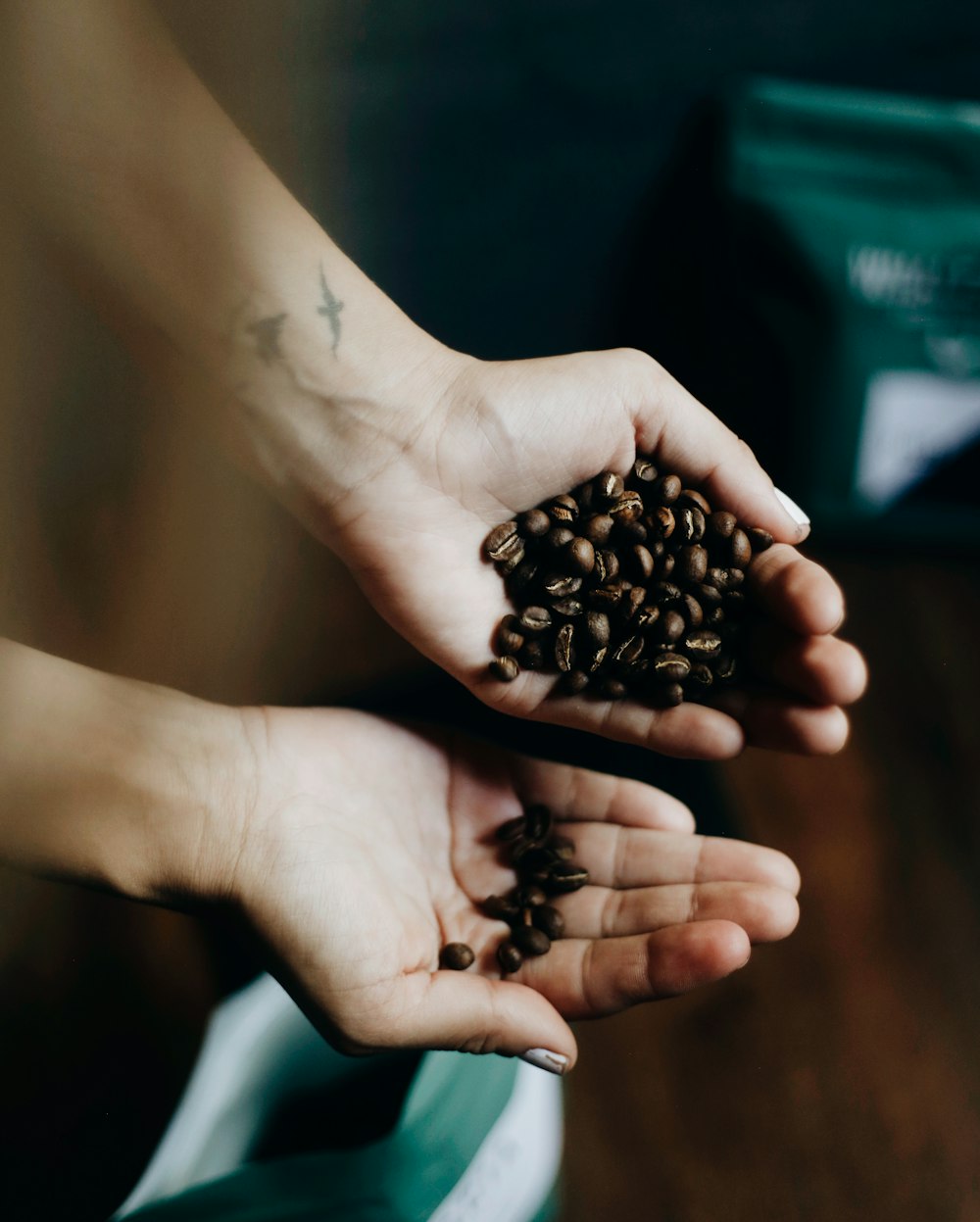 a person holding a handful of coffee beans