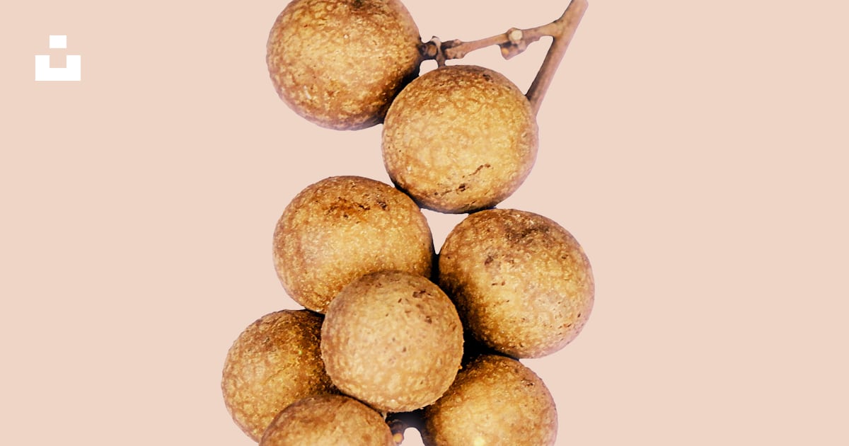 Fruits ronds bruns sur fond blanc photo – Photo Fruit Gratuite sur Unsplash