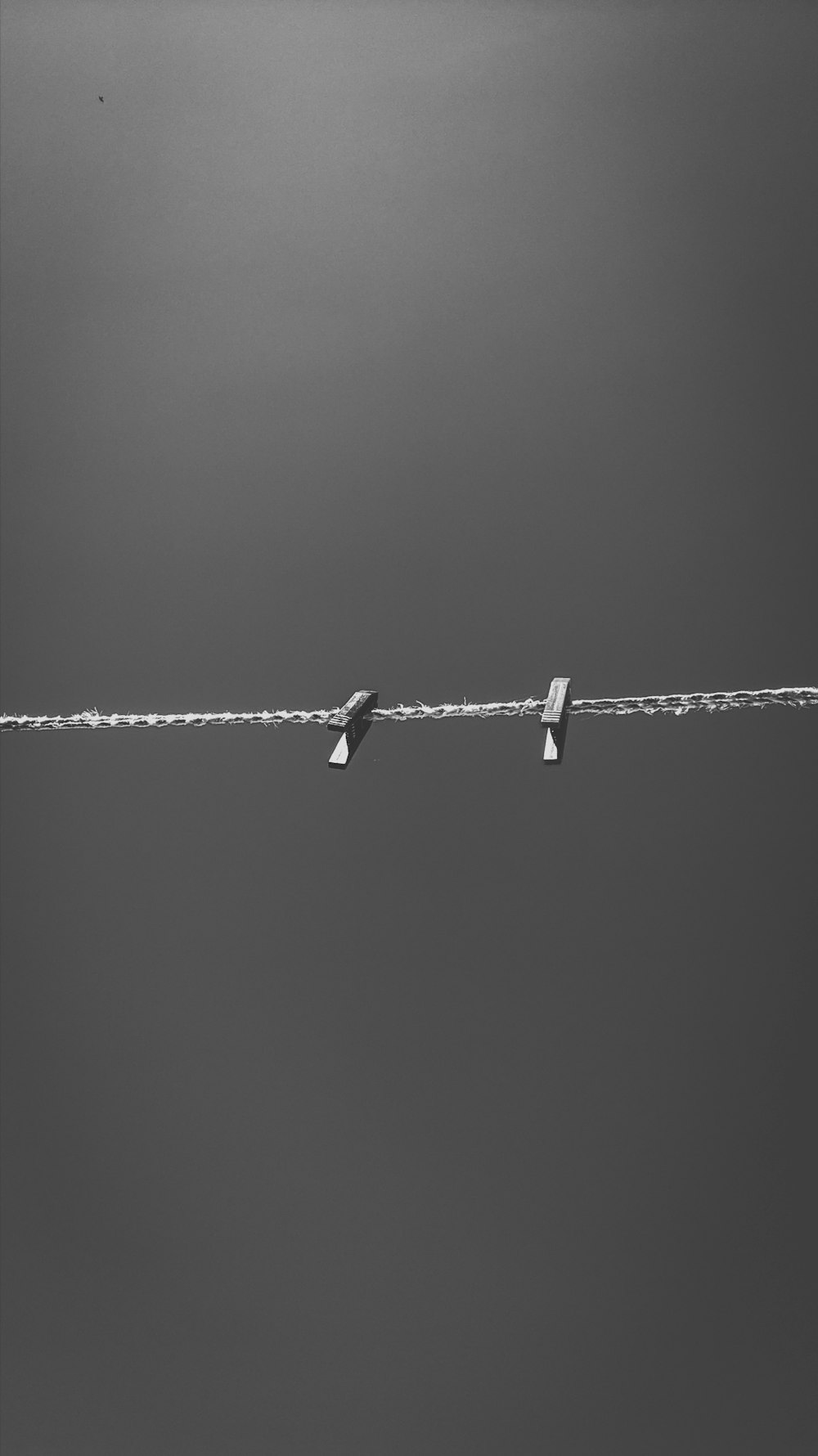 water droplets on black wire