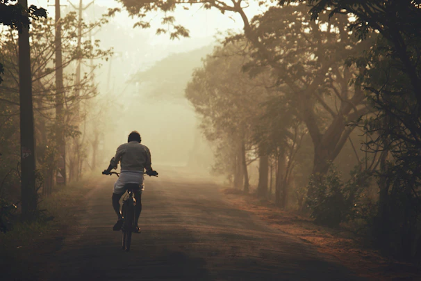 Cyclists riding along a misty mountain trail at dawn, surrounded by lush green forest.