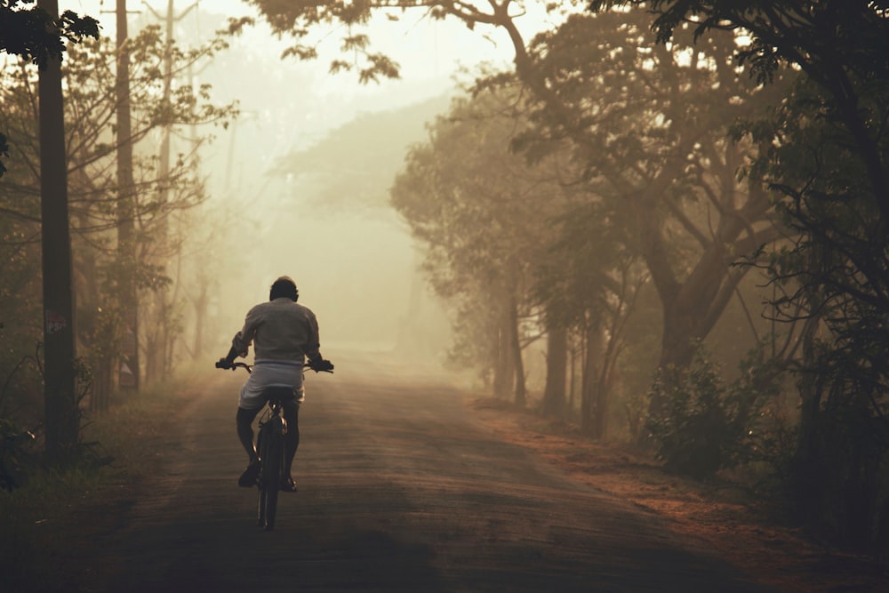 man riding bicycle on road between trees during daytime