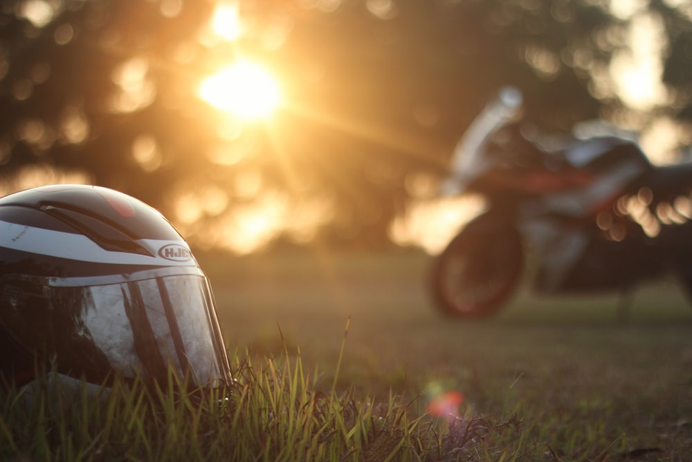 white car on green grass during sunset