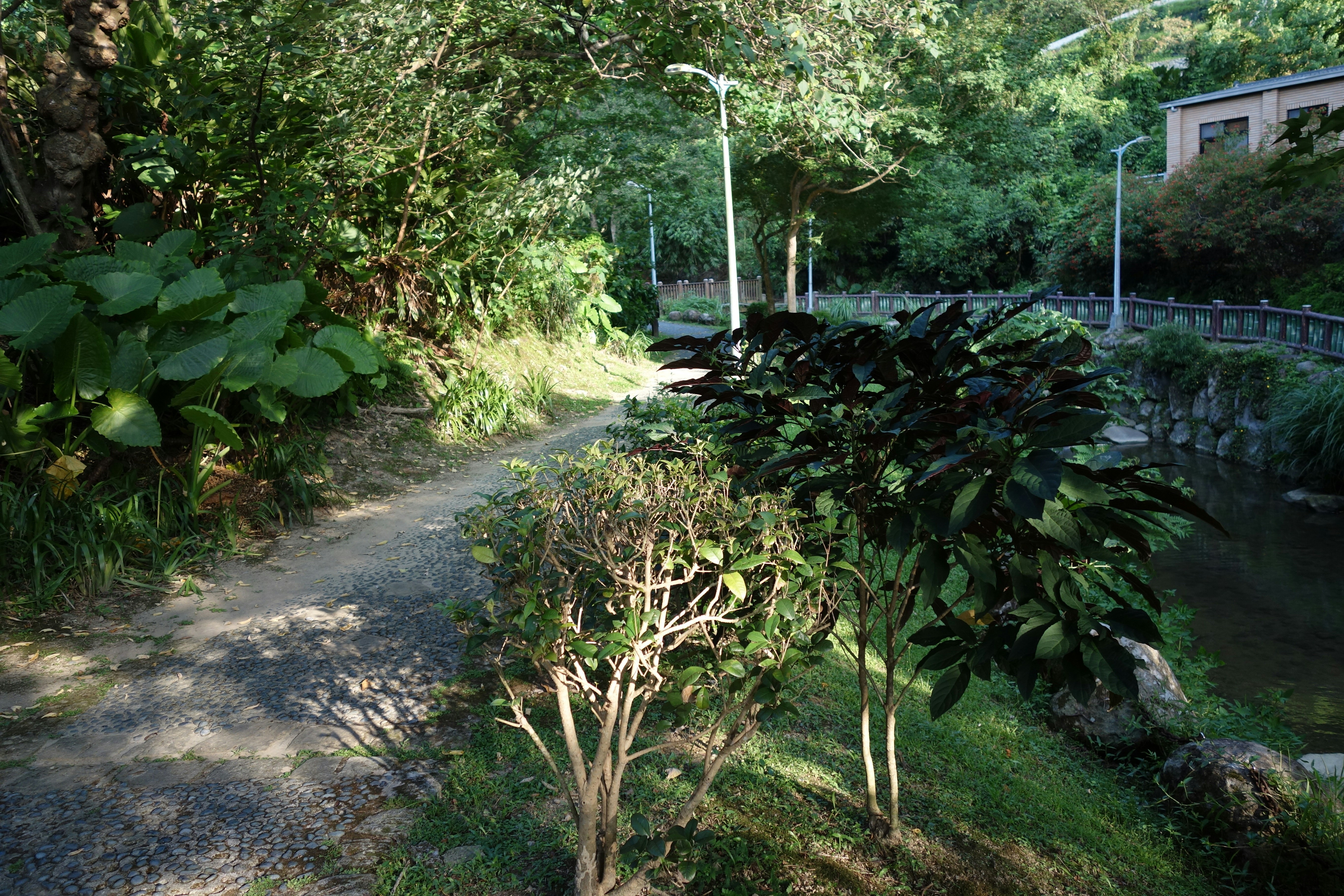 photo-1597979163512-3e1076363047?ixid=M3wxMjA3fDB8MXxzZWFyY2h8MTh8fGxhbmRzY2FwaW5nJTIwY2FwZSUyMGdpcmFyZGVhdXxlbnwwfHx8fDE3Njc2OTczMjh8MA\u0026ixlib=rb-4.1.0