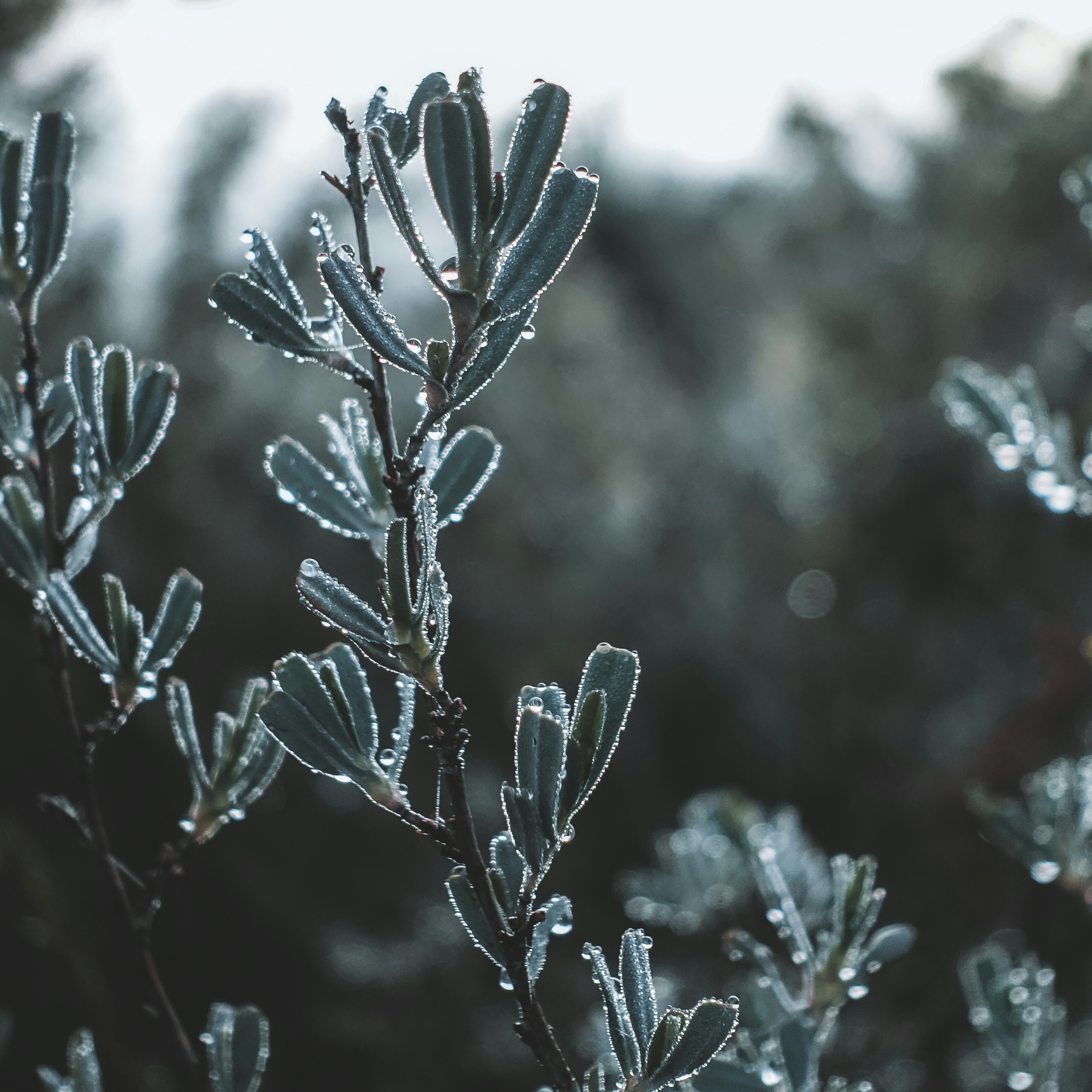 Photo by bellafosterdesign