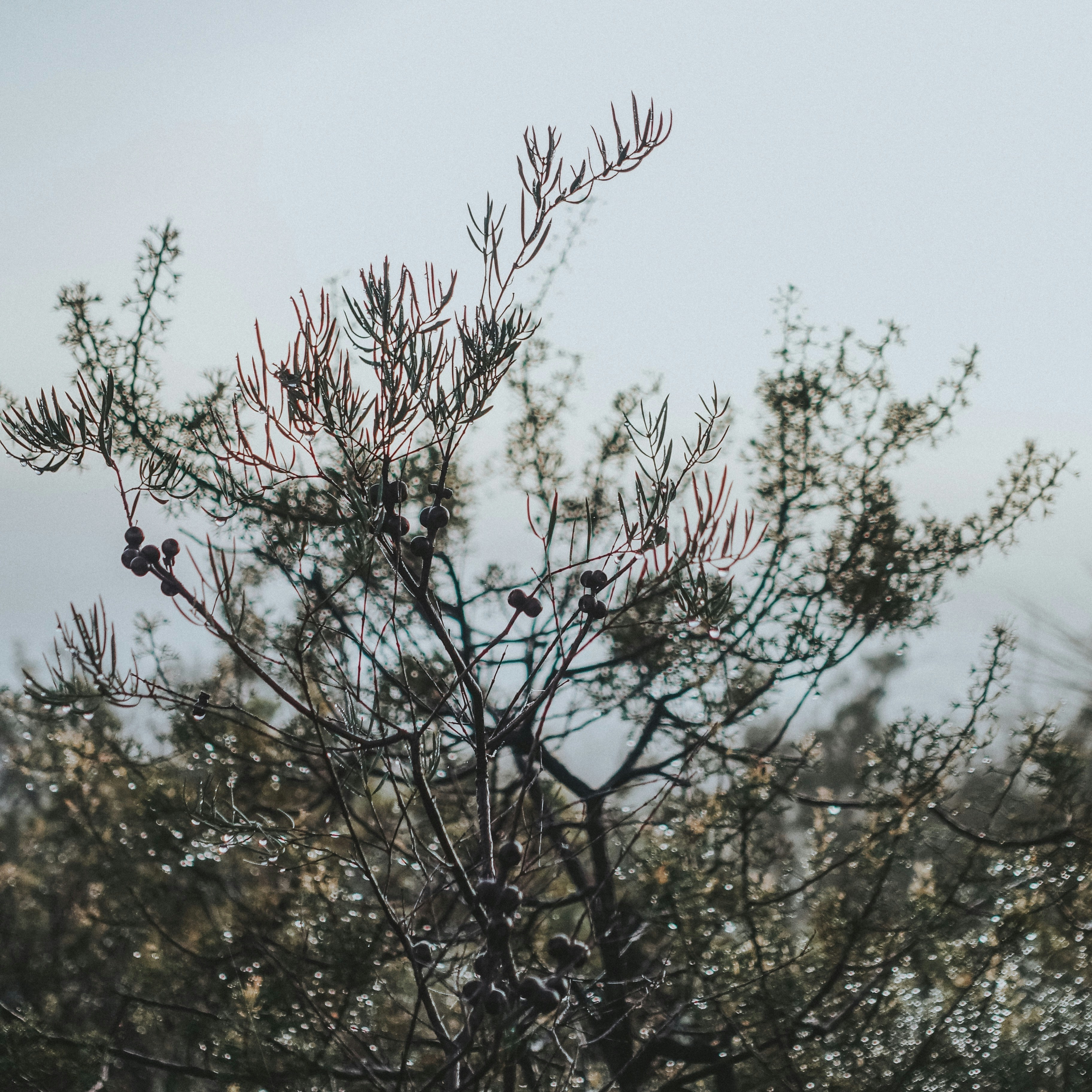 Photo by bellafosterdesign