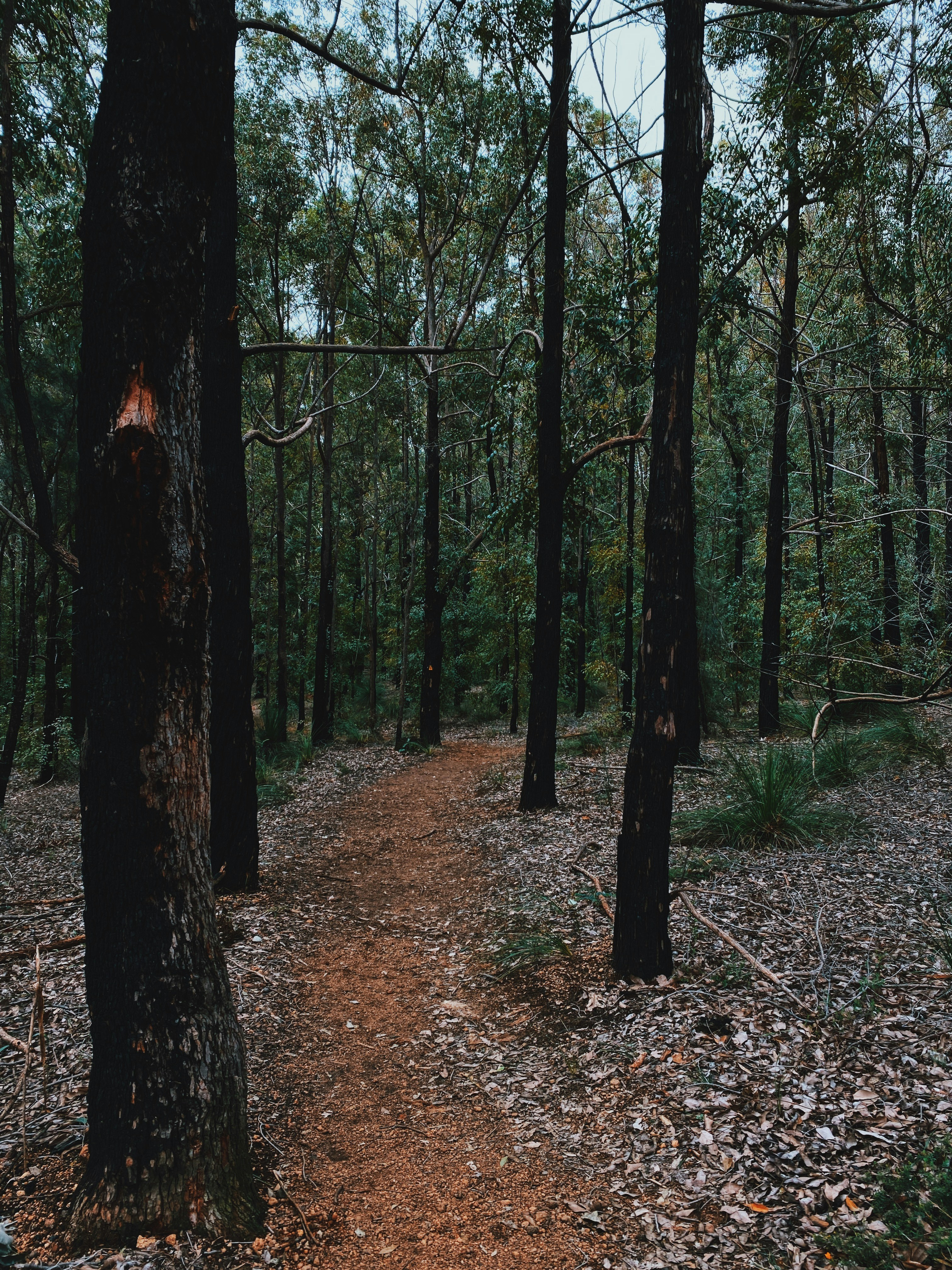 Photo by bellafosterdesign