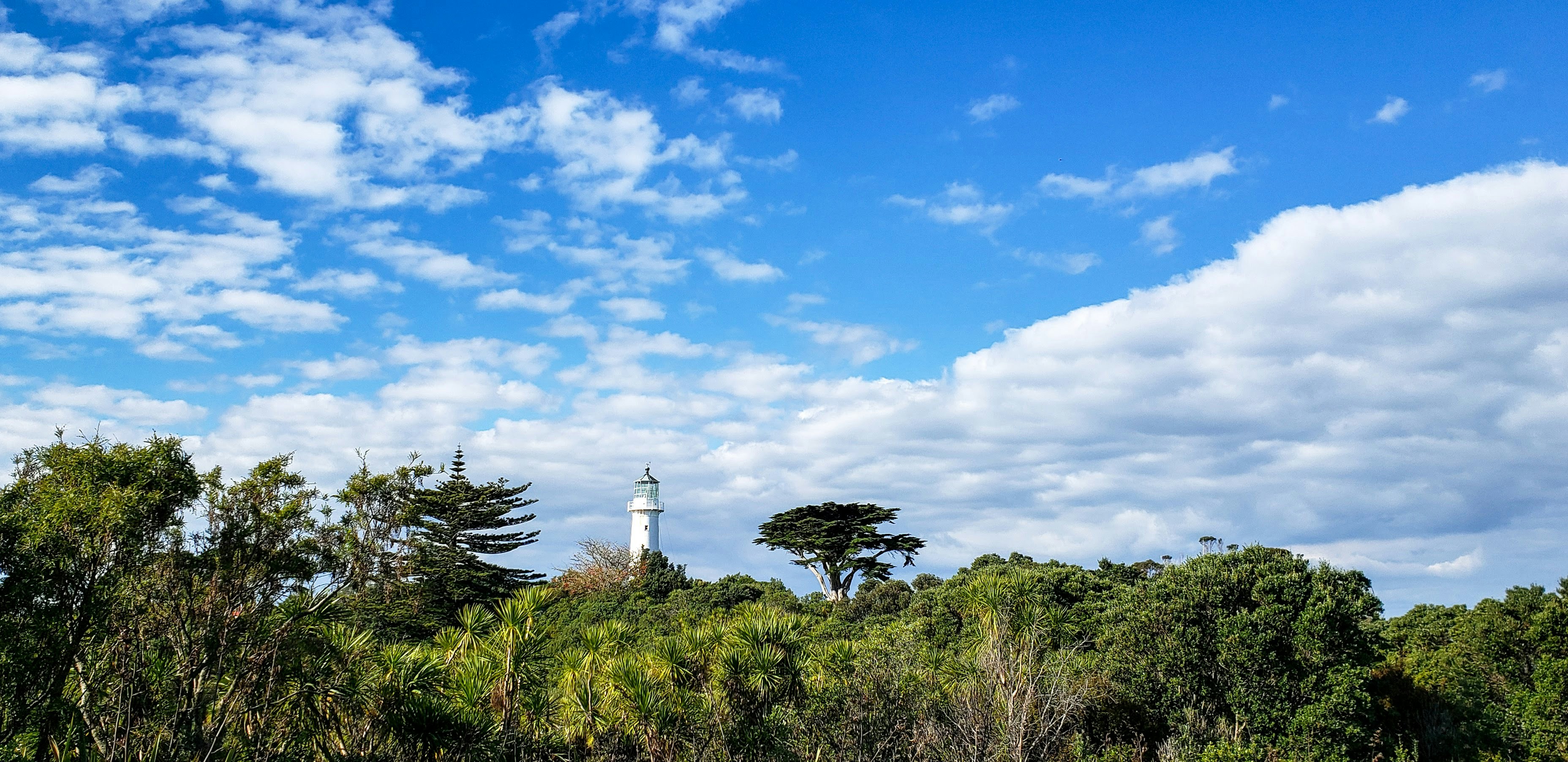 Tiritiri Matangi Island