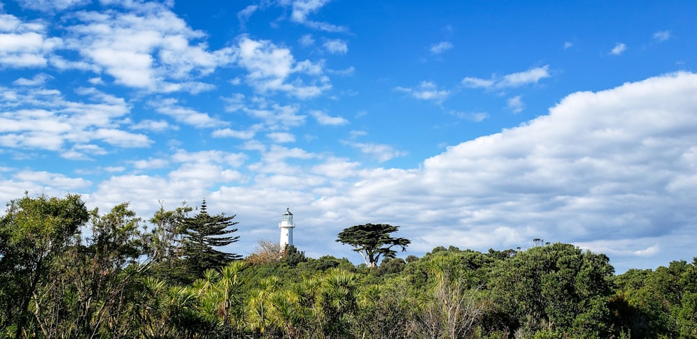 昼間は青空と白い雲の下に緑の木々に囲まれた白い灯台