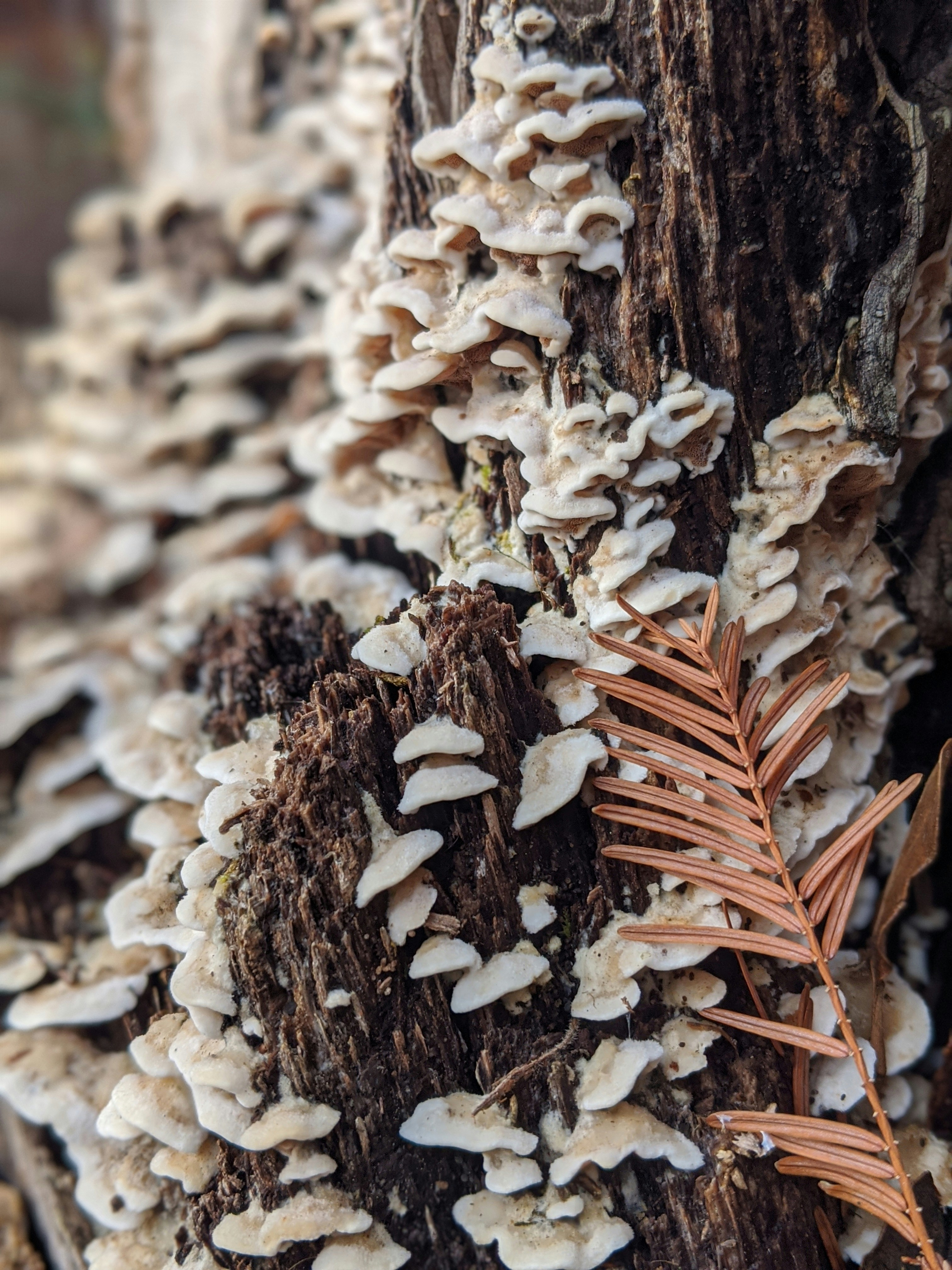 Photo by monsterella