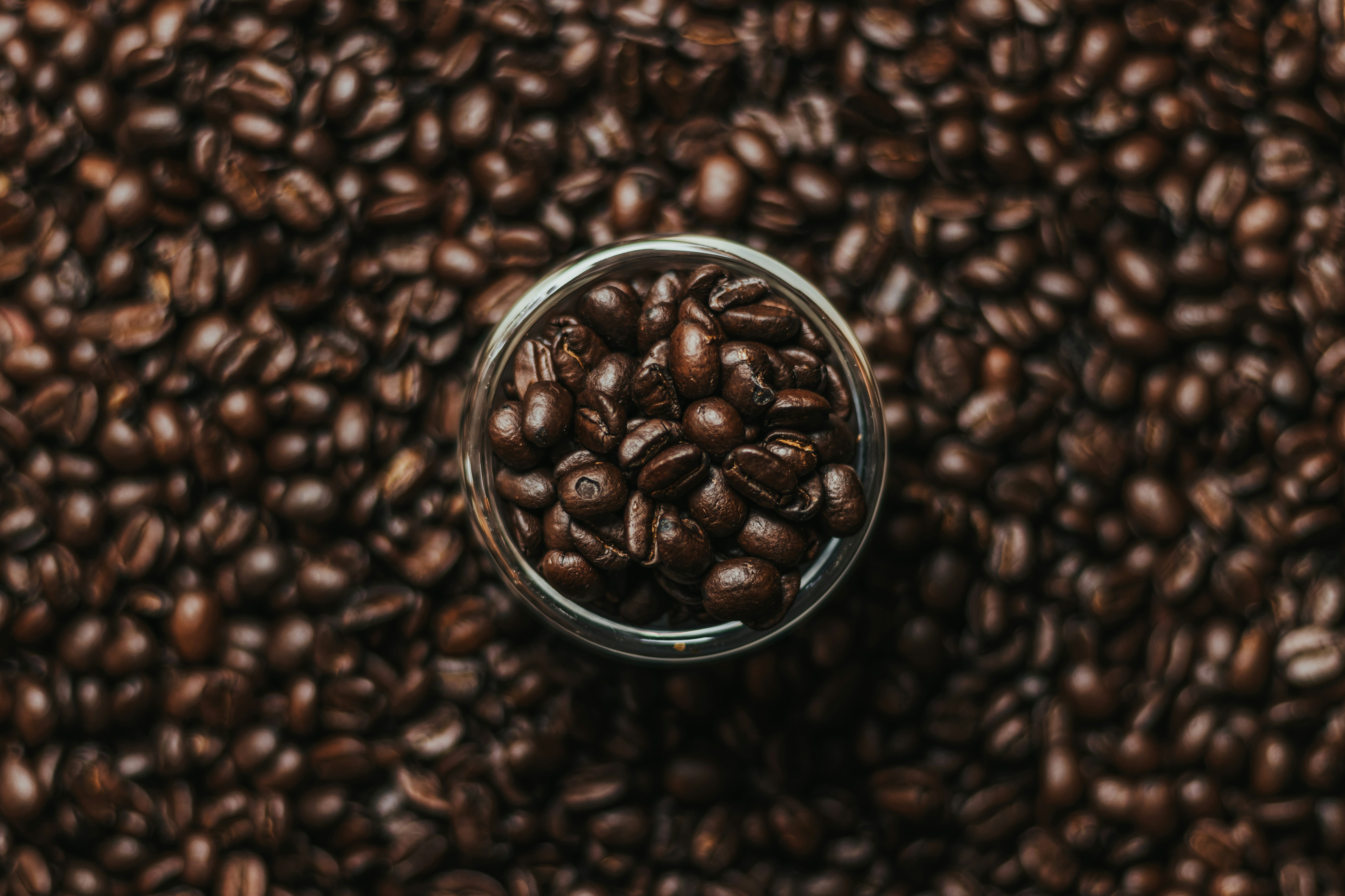 bilge brew coffee beans