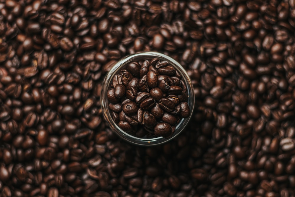 brown coffee beans in silver round container