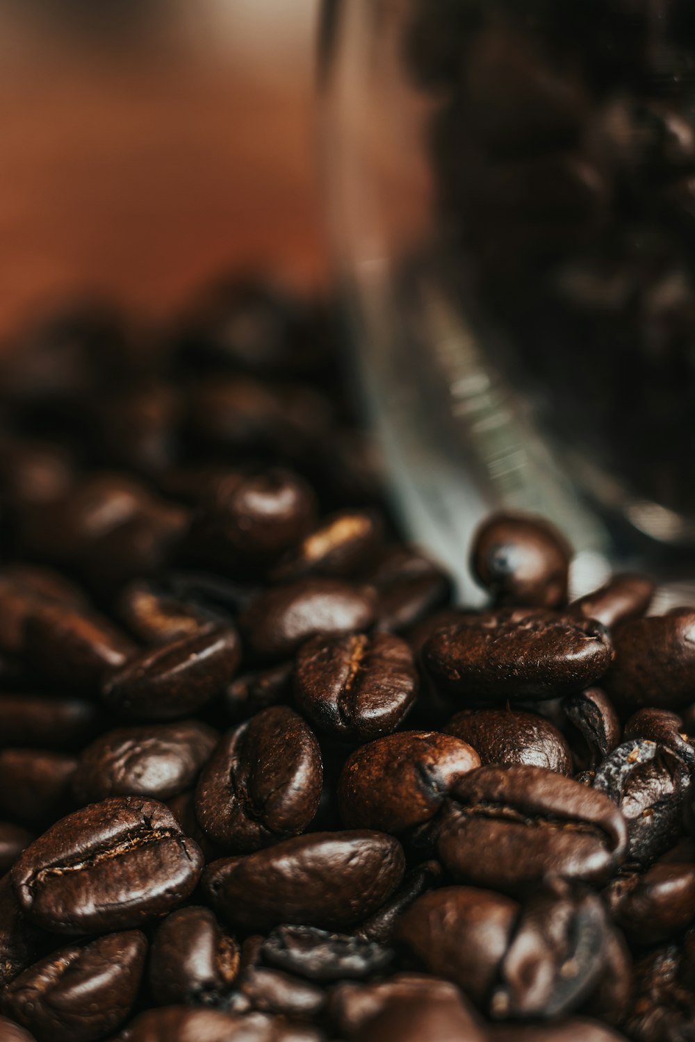 coffee beans on clear glass container