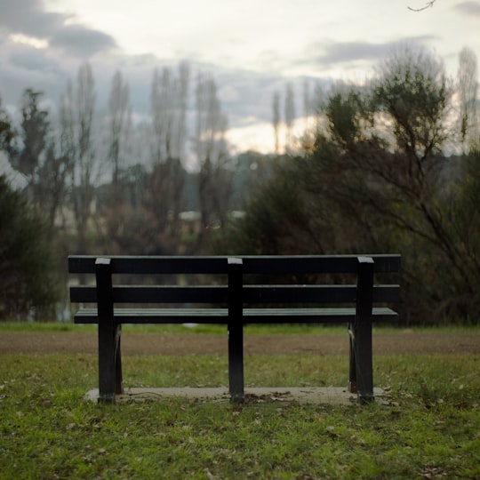 photo of New Norfolk TAS Nature reserve near Constitution Dock Bridge