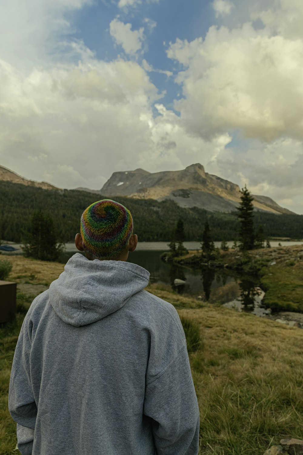 person in gray hoodie standing on green grass field during daytime