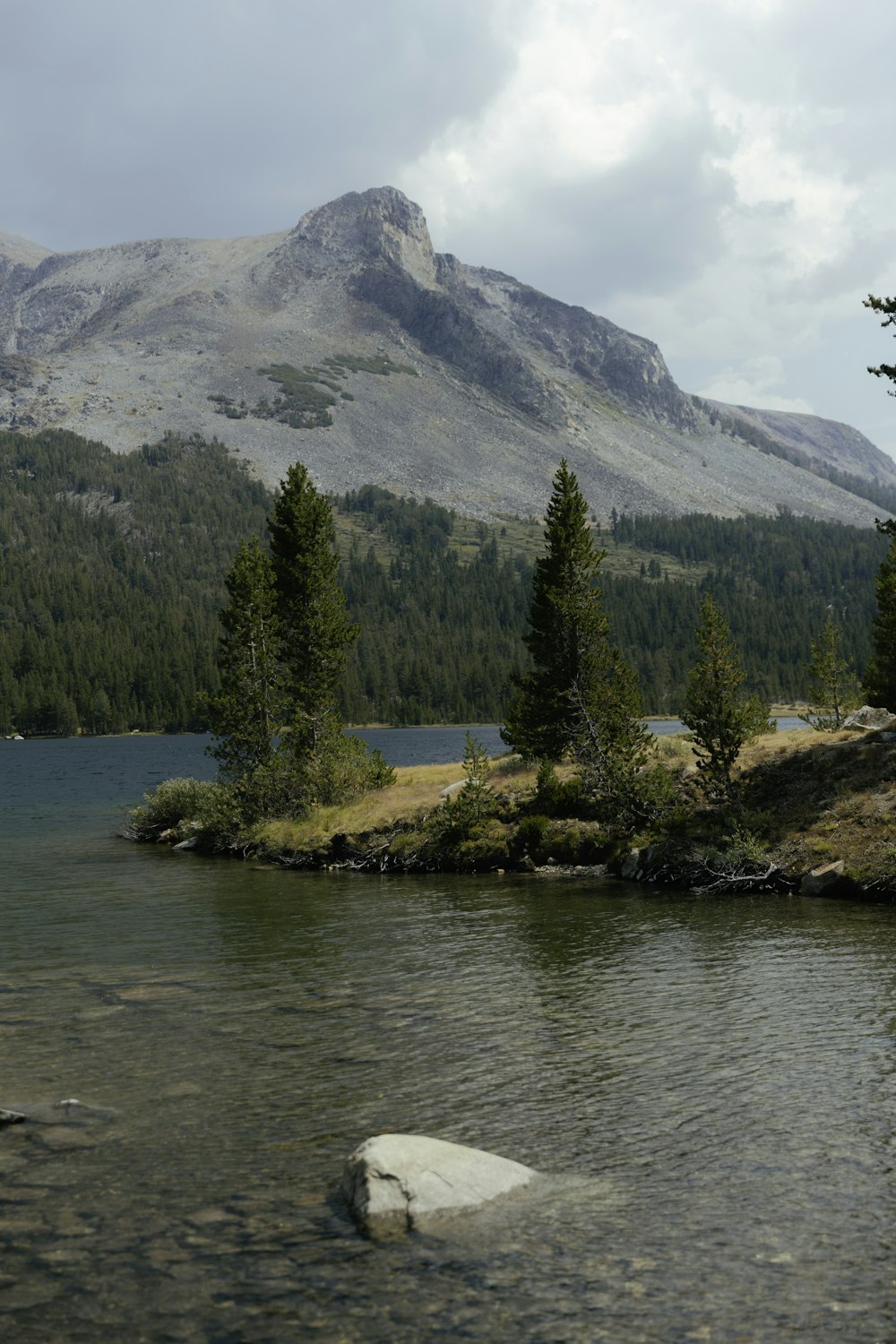 green pine trees near lake and mountain during daytime