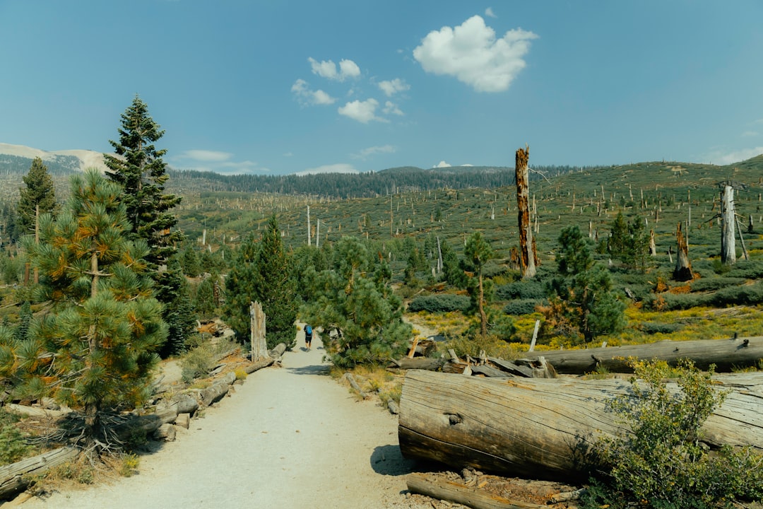 Nature reserve photo spot Inyo National Forest Yosemite National Park, Yosemite Valley