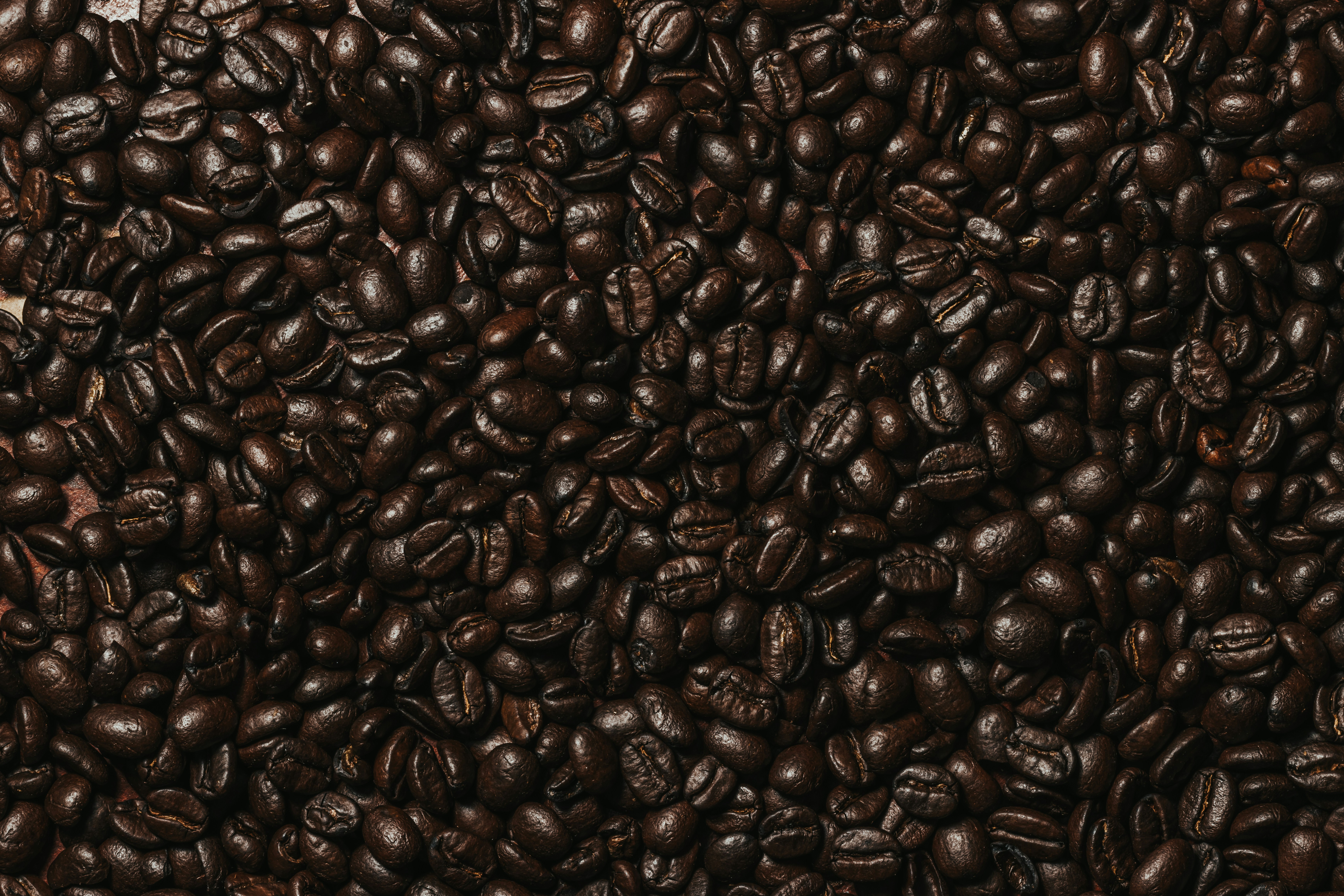 coffee beans on white ceramic plate